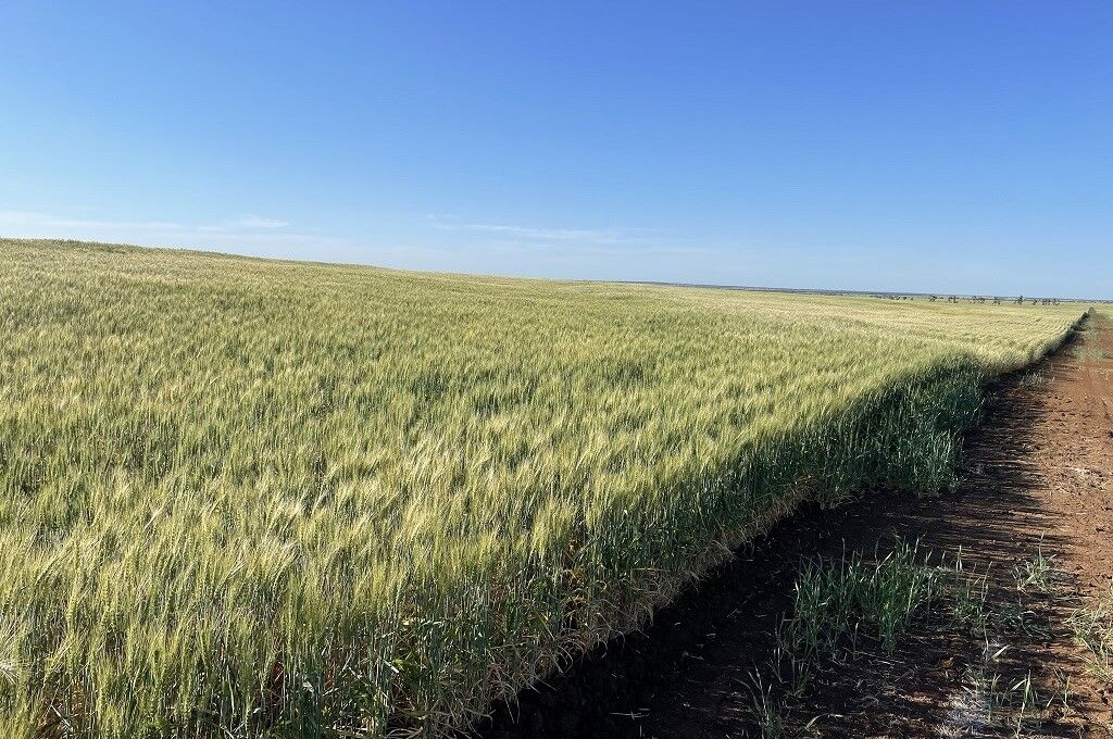 Queensland Contour Banks Designing Erosion Control Contour